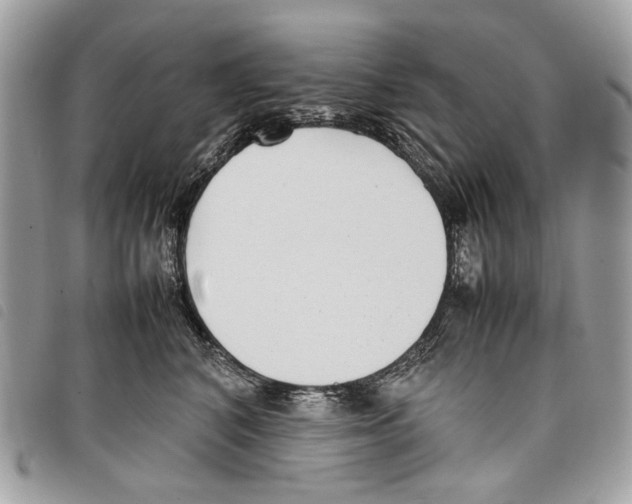 X0000097820616200804111017