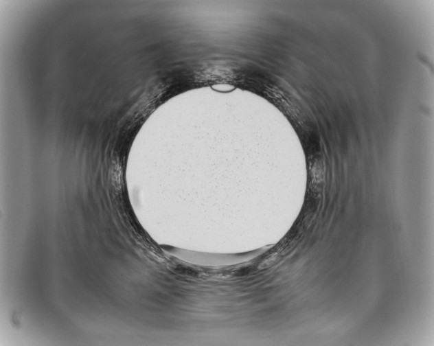 X0000097820617200804111017