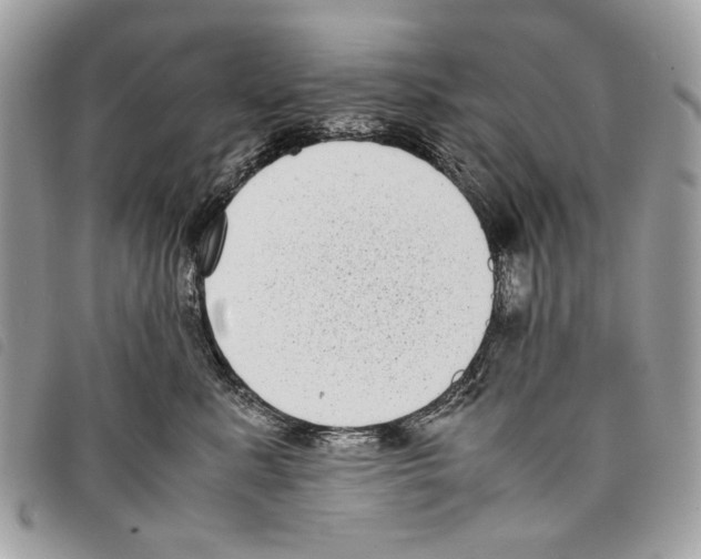 X0000097820619200804111017