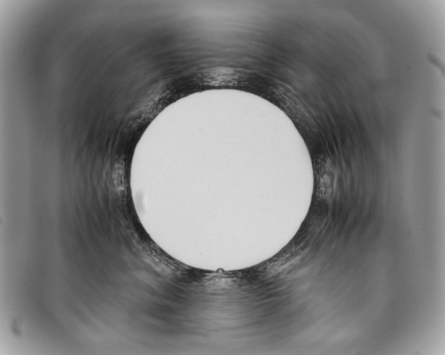 X0000097820620200804111017