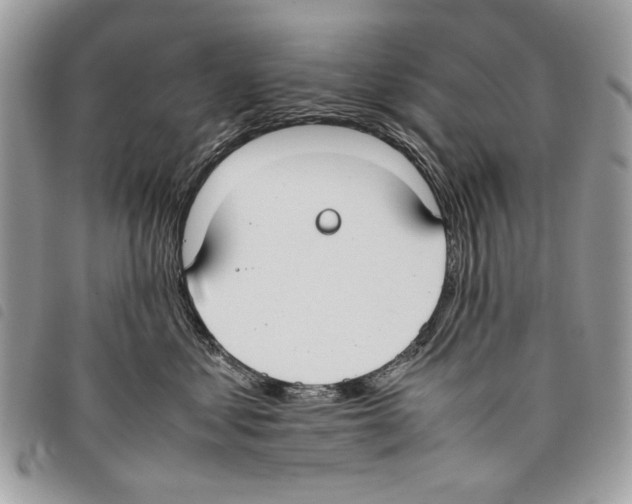 X0000097820621200804111017