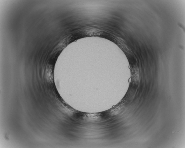 X0000097820622200804111017