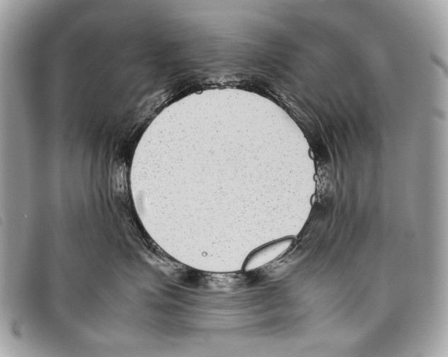 X0000097820623200804111017