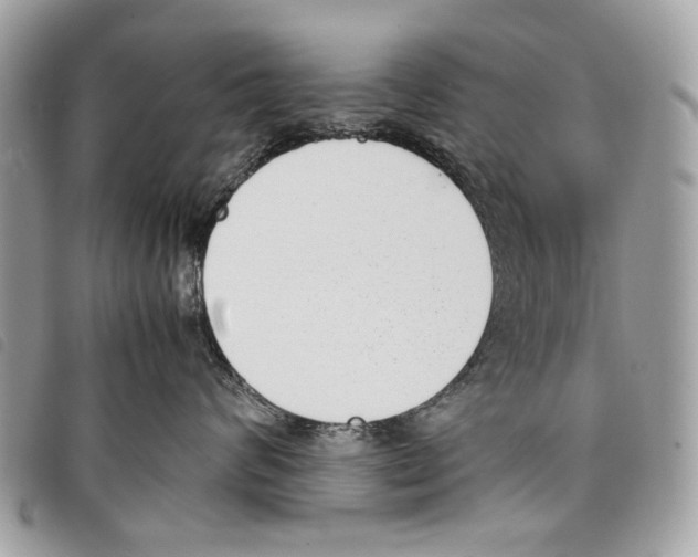 X0000097820624200804111017