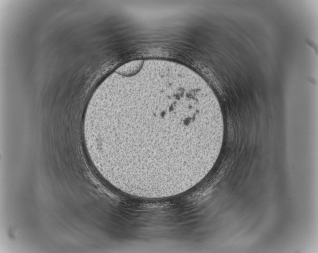 X0000097820625200804111016