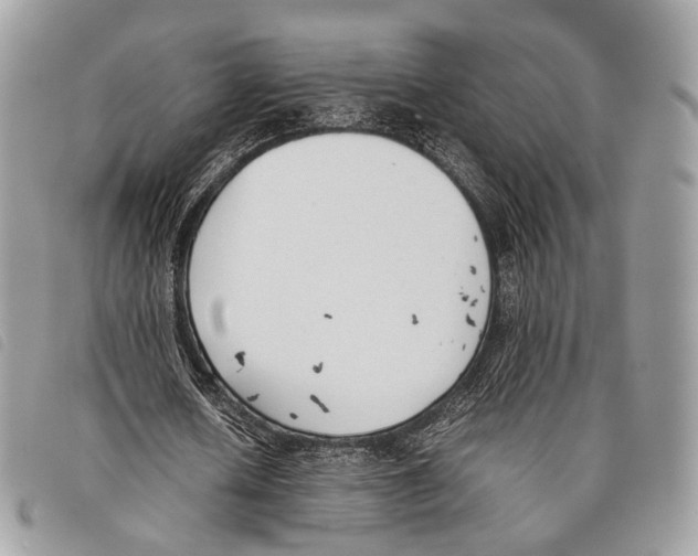 X0000097820626200804111016