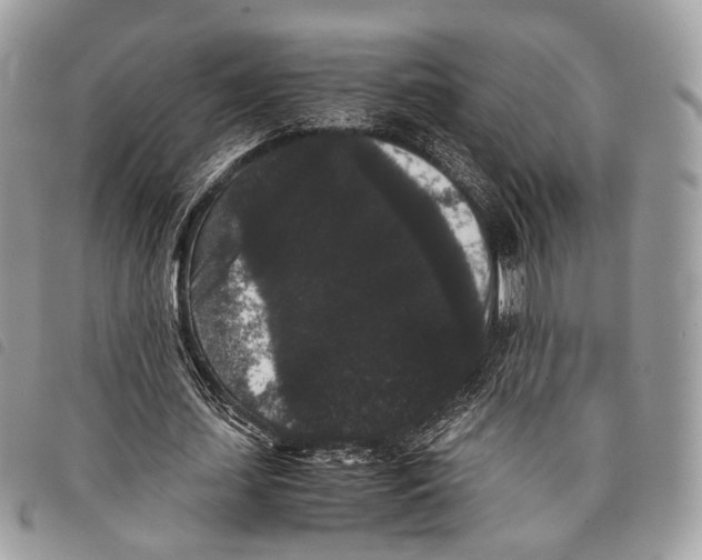 X0000097820627200804111016