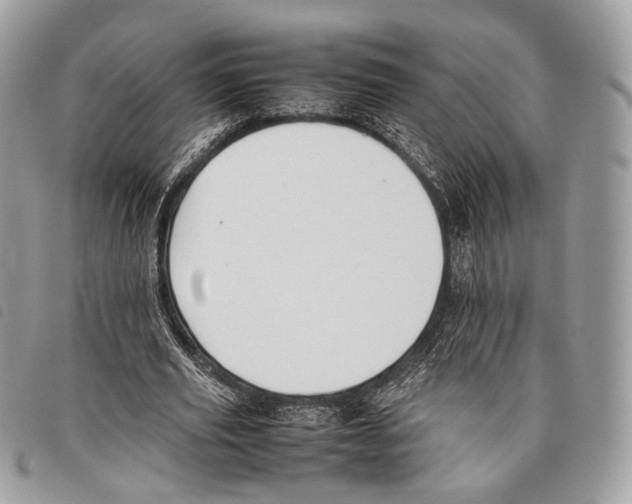 X0000097820629200804111016