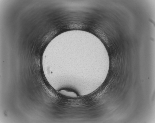 X0000097820633200804111016