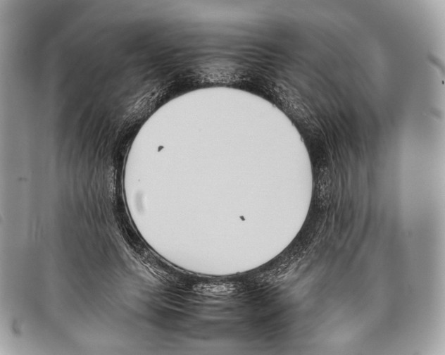 X0000097820639200804111016