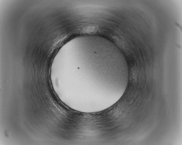 X0000097820640200804111016