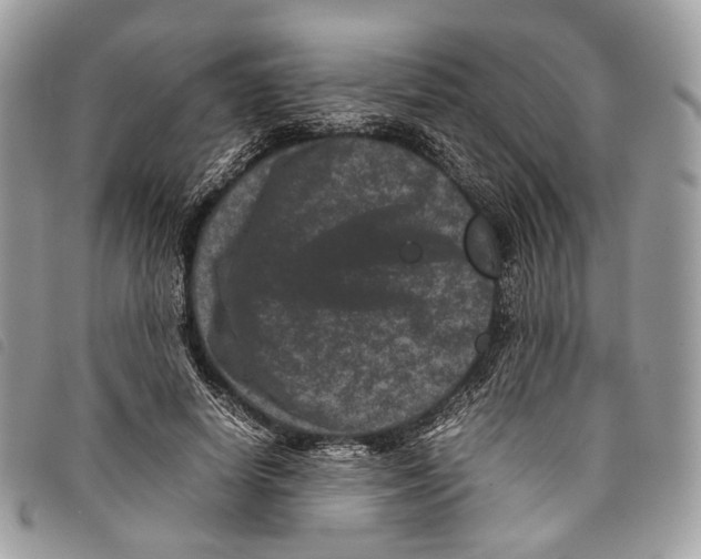 X0000097820642200804111016