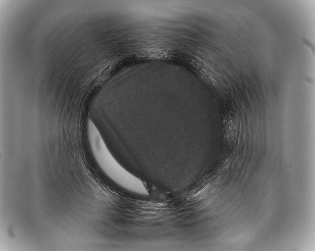 X0000097820643200804111016