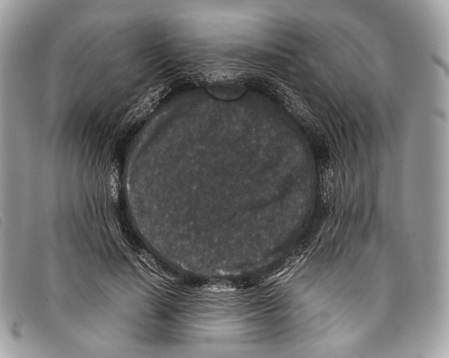 X0000097820644200804111016