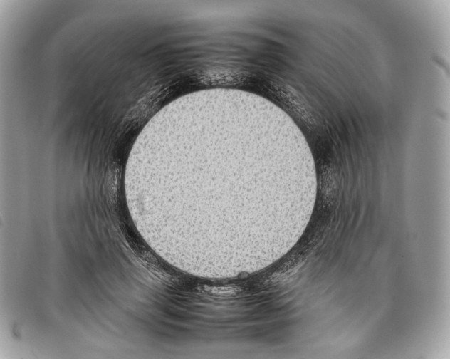 X0000097820645200804111016