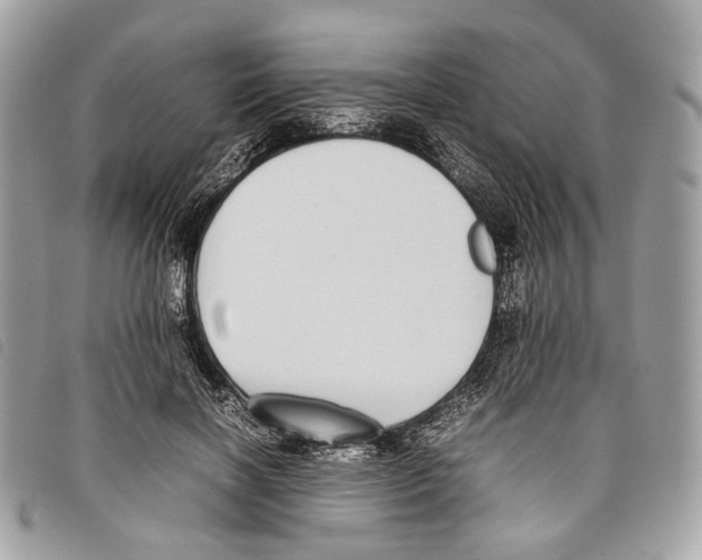 X0000097820646200804111016