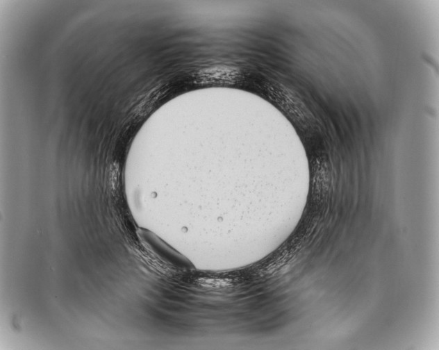 X0000097820649200804111016