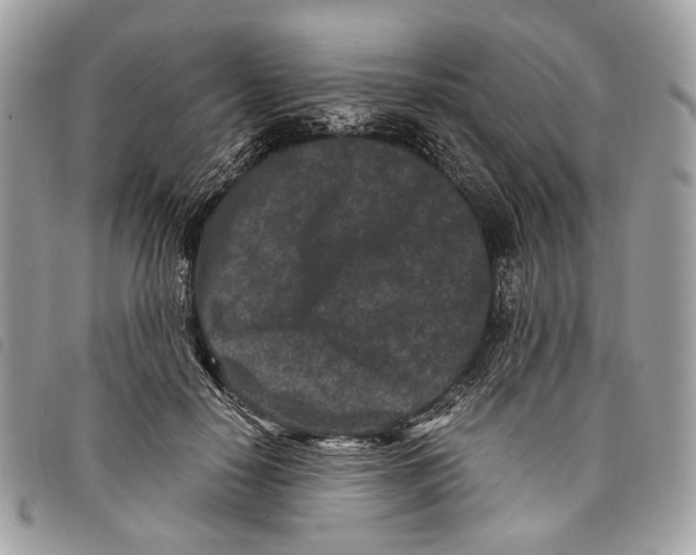 X0000097820650200804111016