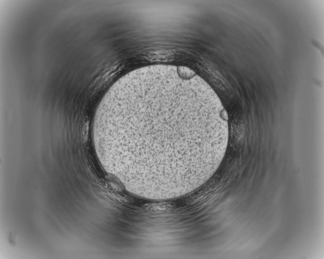 X0000097820652200804111016