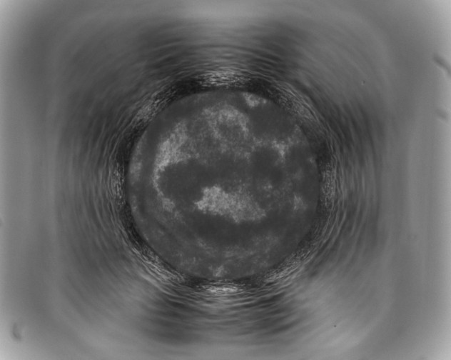 X0000097820653200804111016