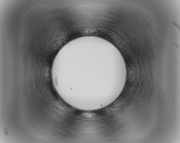 X0000097820654200804111016