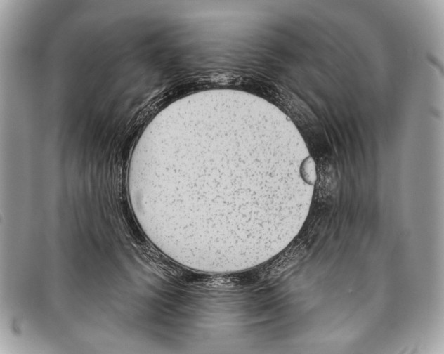 X0000097820656200804111016