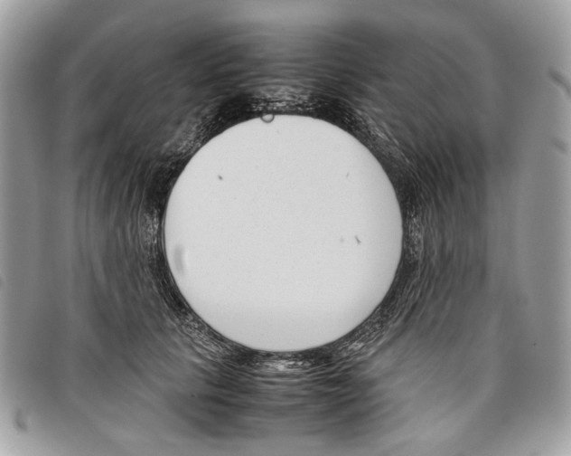 X0000097820657200804111016