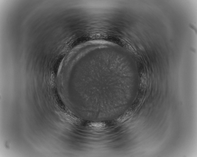 X0000097820659200804111016