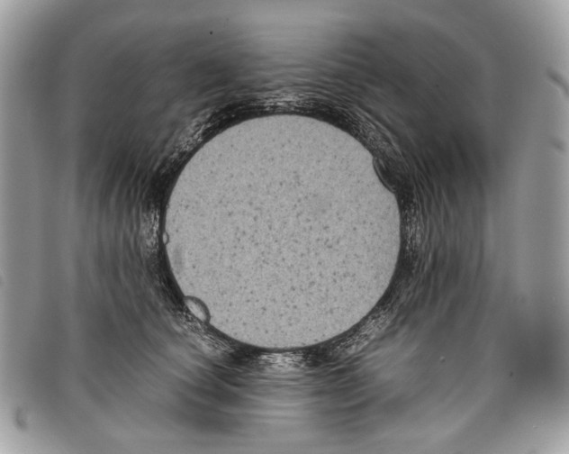 X0000097820660200804111016