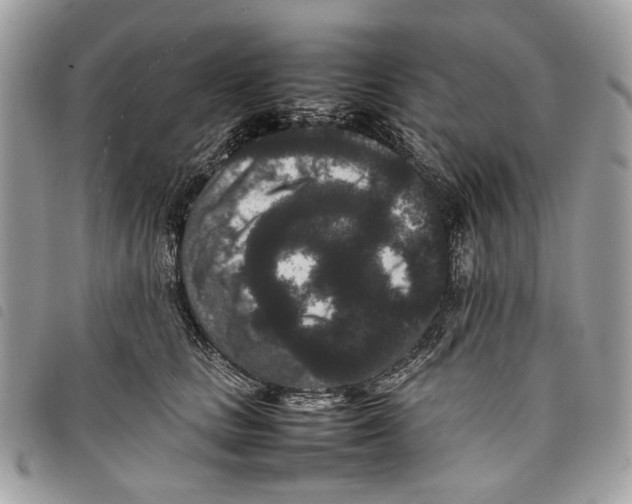 X0000097820661200804111016