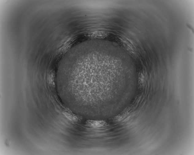 X0000097820663200804111016