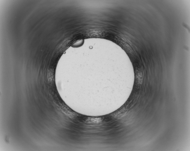 X0000097820665200804111017