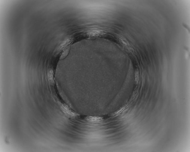 X0000097820670200804111017