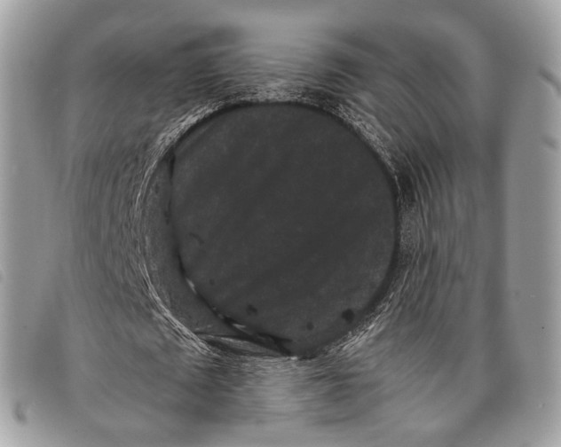 X0000097820673200804111016