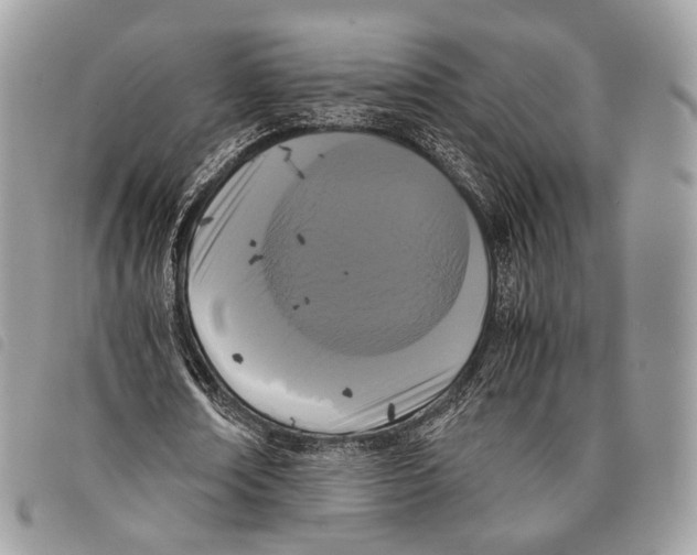 X0000097820674200804111016