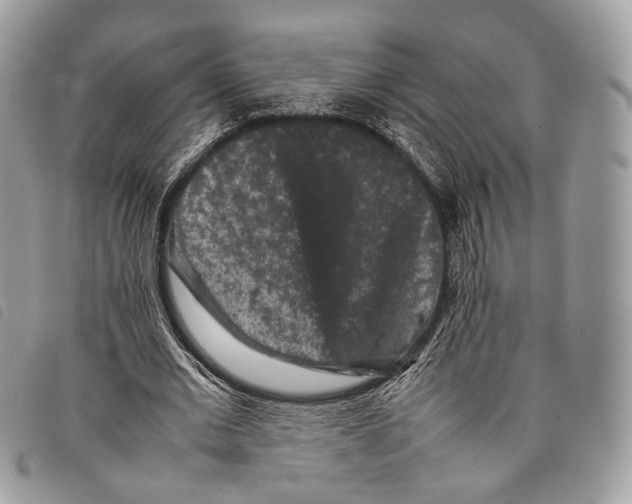 X0000097820677200804111016