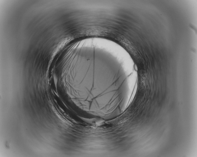 X0000097820678200804111016