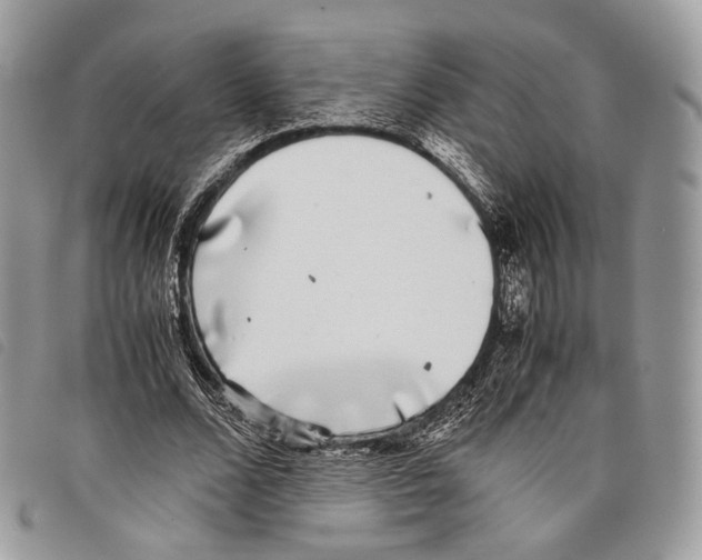 X0000097820680200804111016