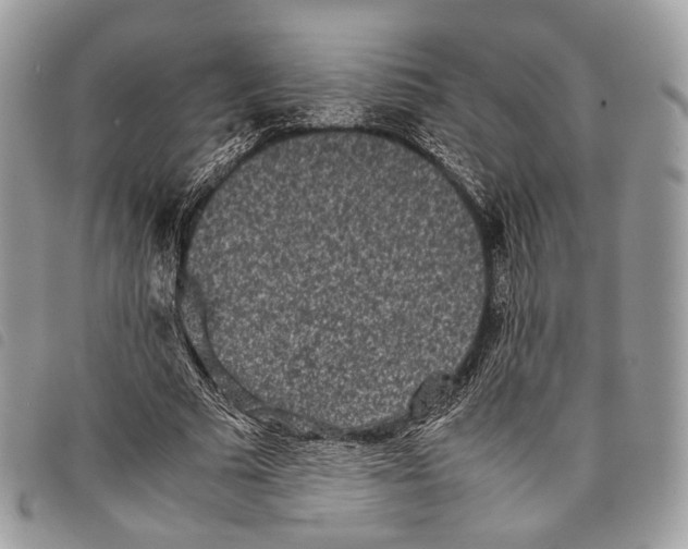 X0000097820681200804111016