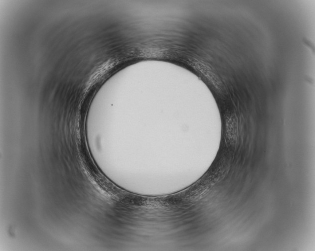 X0000097820682200804111016