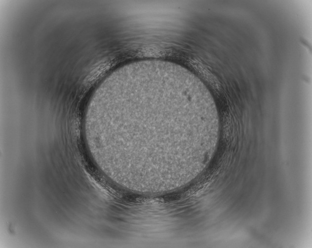 X0000097820683200804111016