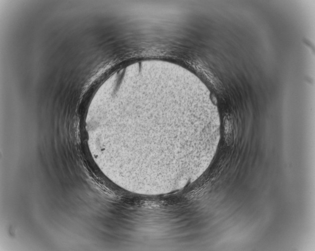 X0000097820684200804111016