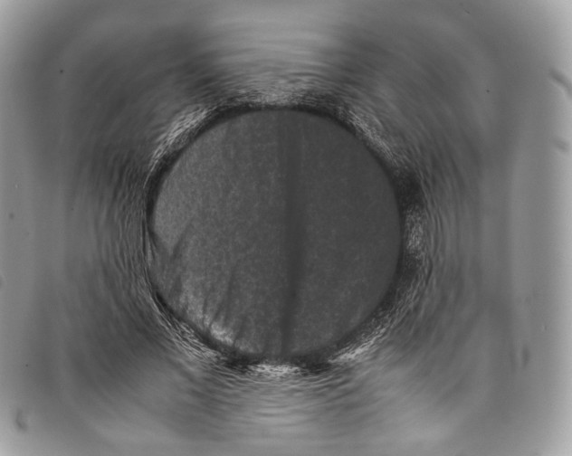 X0000097820685200804111016