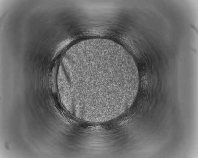 X0000097820688200804111016