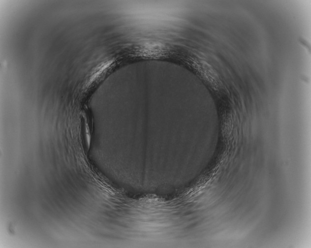 X0000097820689200804111016