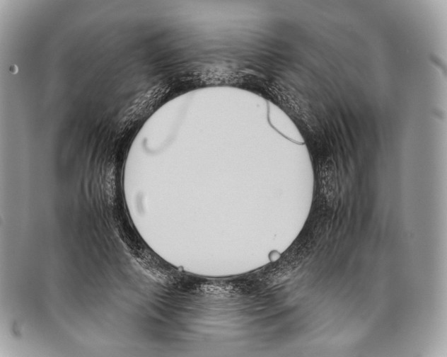 X0000097820690200804111016