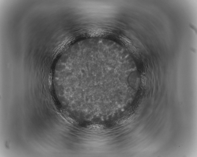 X0000097820691200804111016