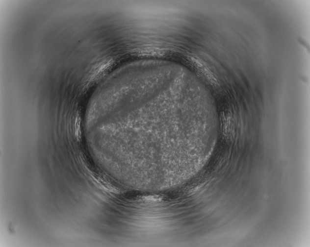 X0000097820692200804111016