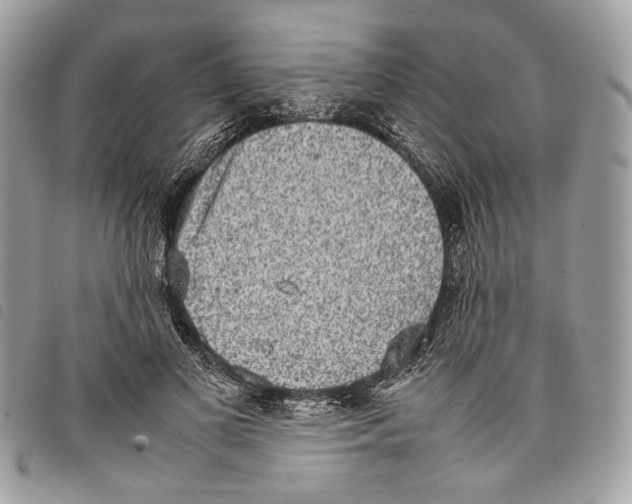 X0000097820693200804111016