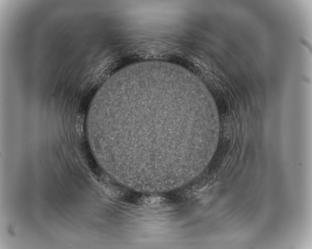 X0000097820695200804111016